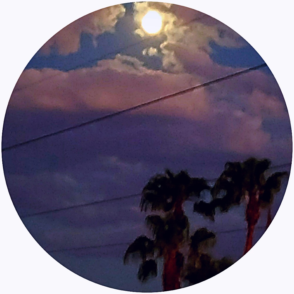 Meet your Posher, Caitlyn